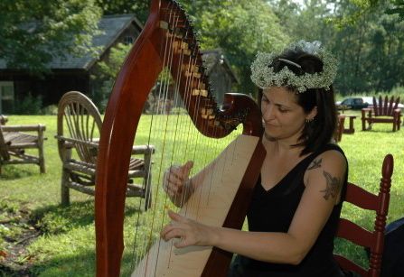 Celtic Harp in a field-Fantastic! harp, flowers and a field
