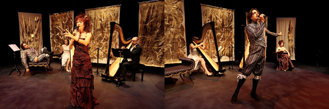 Dueling Harps